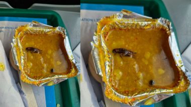 Cockroach Found in Meal on Train: वंदे भारत एक्सप्रेसमध्ये दिल्या गेलेल्या अन्नामध्ये प्रवाशाला आढळले मृत झुरळ; IRCTC ने माफी मागितली (See Pics)