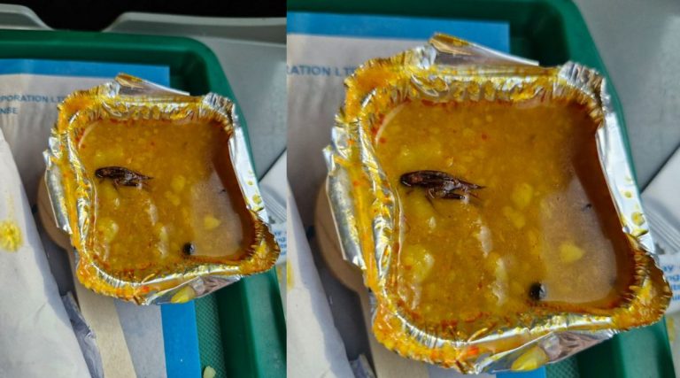 Cockroach Found in Meal on Train: वंदे भारत एक्सप्रेसमध्ये दिल्या गेलेल्या अन्नामध्ये प्रवाशाला आढळले मृत झुरळ; IRCTC ने माफी मागितली (See Pics)