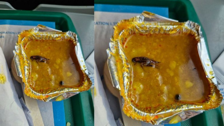 Cockroach Found in Meal on Train: वंदे भारत एक्सप्रेसमध्ये दिल्या गेलेल्या अन्नामध्ये प्रवाशाला आढळले मृत झुरळ; IRCTC ने माफी मागितली (See Pics)
