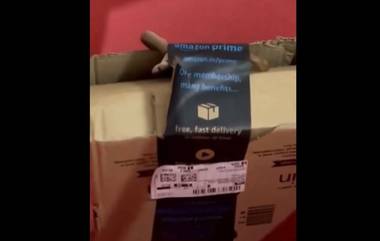 Cobra in Amazon Package: बंगळुरु येथील जोडप्यास ॲमेझॉन डिलीव्हरी पॅकेजमध्ये आढळला कोब्रा (Watch Video)