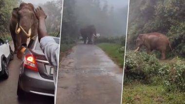 Elephant Viral Video: मुलांची कृती पाहून हत्तीला आला राग, पुढे चिडलेल्या गजराजने जे केले ते पाहून बसेल धक्का, पाहा व्हिडीओ