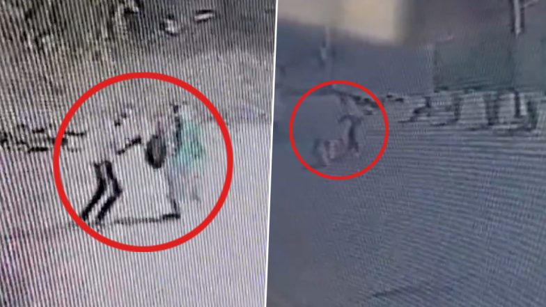 Murder Video: लग्नास नकार दिल्याने महिलेची भररस्त्यात तलवारीने वार करून हत्या; मोहालीतील धक्कादायक घटना, व्हिडिओ व्हायरल (Watch)