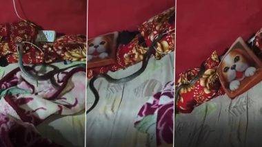 Snake Viral Video: मोबाईल चार्जर तोंडात घेऊन बेडवर रेंगाळताना दिसला खतरनाक साप, व्हिडीओ पाहून व्हाल धक्क