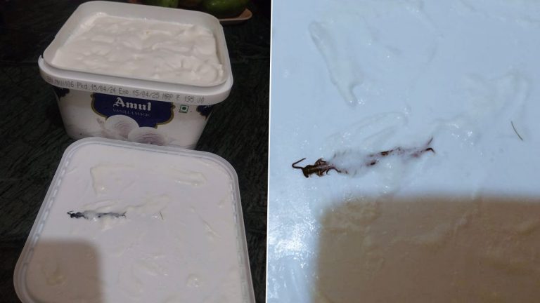 Centipede in Amul Ice Cream Tub: ऑनलाइन ऑर्डर केलेल्या अमूल आईस्क्रीम टबमध्ये आढळली गोम, नोएडातील महीलेकडून व्हिडिओ शेअर(Watch Video)