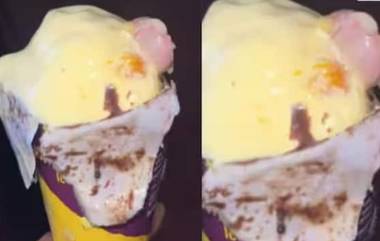 Human Finger in Ice Cream:आईस्क्रीममध्ये सापडलेला बोटाचा तुकडा पुणे येथील कर्मचाऱ्याचा, DNA चाचणीत धक्कादायक खुलासा; डॉक्टरांचा  दावा खरा