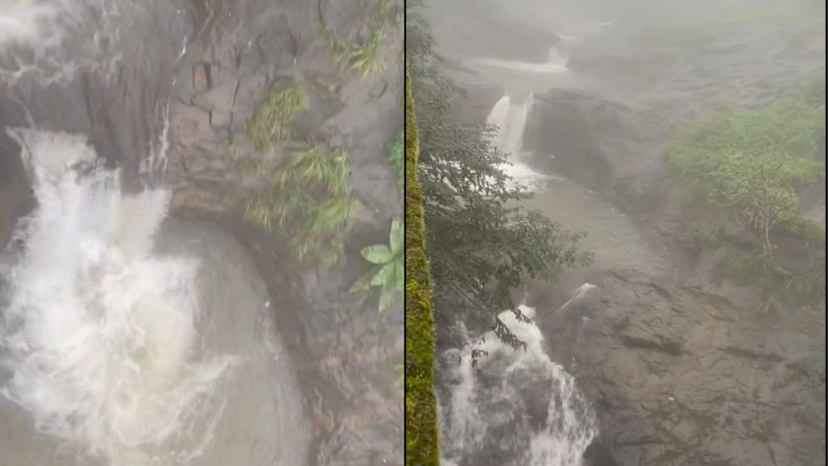 Badlapur Kondeshwar Waterfall : बदलापूर येथील कोंडेश्वर धबधब्यावर तरुणांची स्टंटबाजी, कुंडात उड्या मारून जीवाशी खेळ सुरू