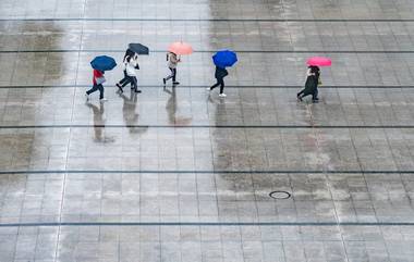 Maharashtra Weather Forecast: पुढील पाच दिवस मुंबईसह ठाण्यात पावसाचा यलो अलर्ट, रायगड आणि रत्नागिरीत ऑरेंज अलर्ट; हवामान विभागाचा अंदाज