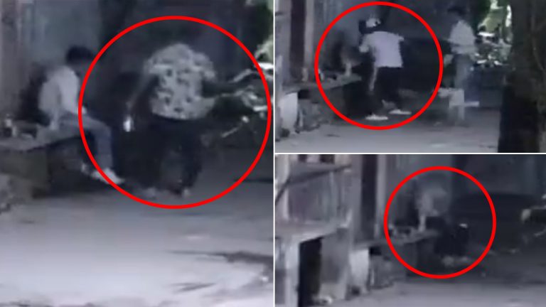 Murder Caught on Camera in Delhi: जीम मालकाची चाकूने भोसकून हत्या, आरोपीला अटक (Watch Video)