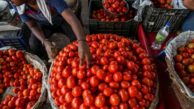 Tomato Price: टोमॅटो 60 रुपये किलोने मिळणार! NCCF या दिवसापासून दिल्ली-NCR मध्ये लावणार स्टॉल