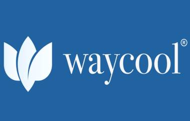 WayCool Layoffs: चेन्नई बेस ॲग्रीटेक स्टार्टअप वेकूल फूडमध्ये 1 वर्षात 200 हून अधिक कर्मचाऱ्यांची कपात