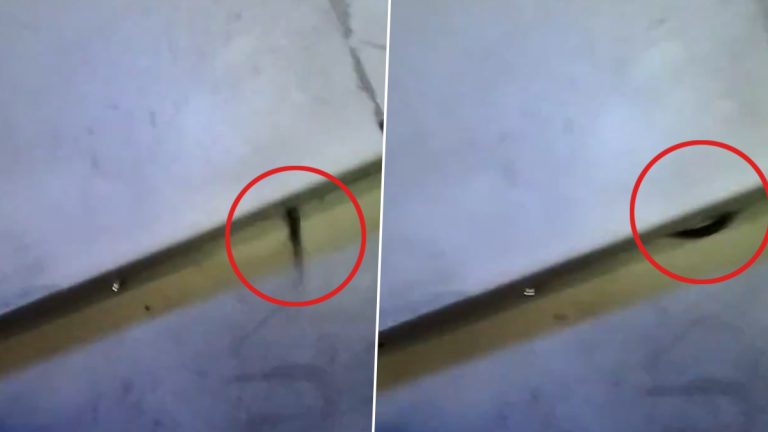 Snake Found in AC Coach of Train: मुंबईकडे जाणाऱ्या गोरखपूर-वांद्रे एक्स्प्रेस ट्रेनच्या एसी कोचमध्ये आढळला साप; प्रवाशांमध्ये घबराट (Watch Video)