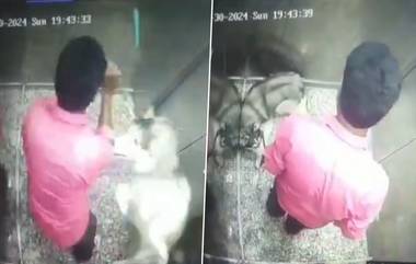 Dog Walker Beats Husky: पाळीव कुत्र्याला अमानुष मारहाण, गुडगाव येथील घटना CCTV कैद