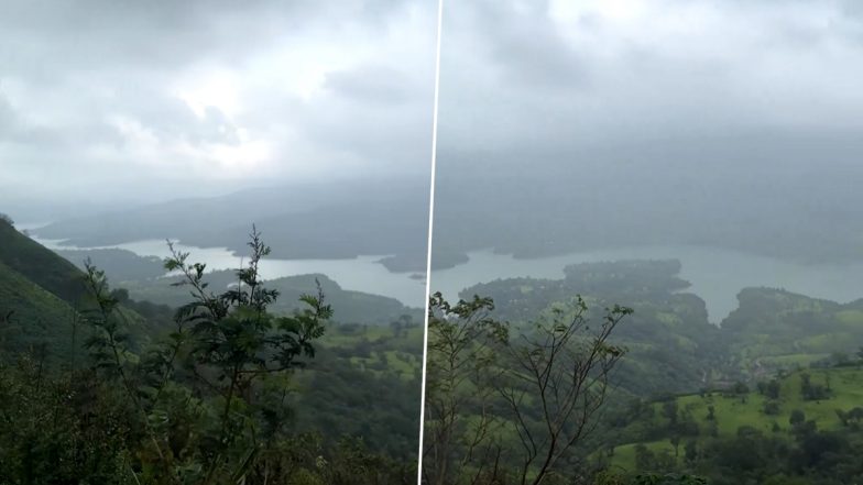 Vidharbha Weather Update: विदर्भात पावसाने दडी मारल्याने पाण्याचे संकट,  ठिकठिकाणी पेरण्या खोळंबल्या