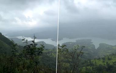 Heavy Rain In Satara: साताऱ्यात पावसाचा जोर वाढला, कोयना धरणाच्या पाणीसाठ्यात वाढ