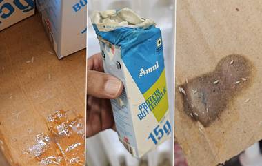 Worms Found in Amul Buttermilk Package: अमूल ब्रँडच्या ताकात आढळला किडा; ग्राहकाची सोशल मिडीयावर व्हिडिओ शेअर करून कंपनीकडे तक्रार