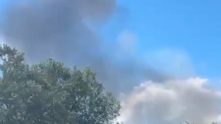 Large Plane Crashes Near Moscow: मॉस्कोजवळ विमान कोसळले; विमानात 3 लोकांचा समावेश (Watch Video)