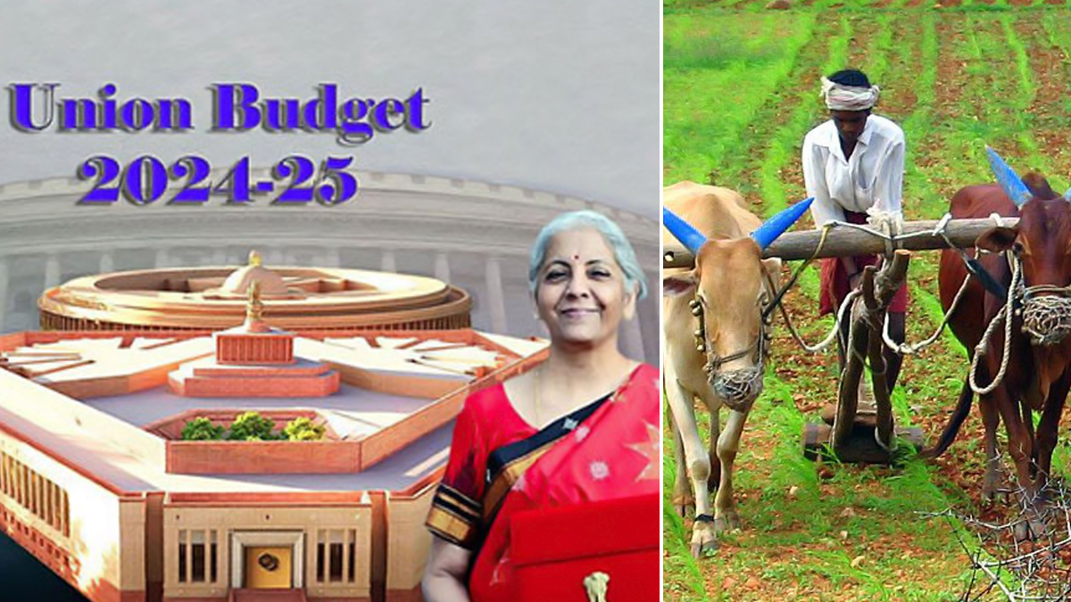 Union Budget 2024: केंद्रीय अर्थसंकल्पात कृषी, संलग्न क्षेत्रांसाठी 1.52 लाख कोटी रुपयांची तरतूद; शेतकऱ्यांसाठी काय आहे खास? वाचा