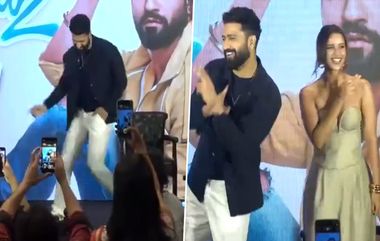 Vicky Kaushal Dance: अभिनेता विकी कौशल आणि तृप्ती डिमरीचा तौबा तौबा गाण्यावर जबरदस्त डान्स