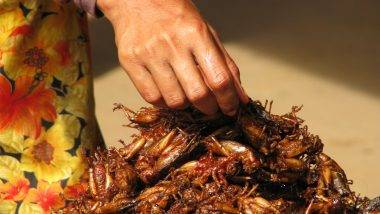 SFA Allows Insects As Human Food: सिंगापूरने मानवी अन्न म्हणून 16 कीटकांचा वापर करण्यास दिली मान्यता