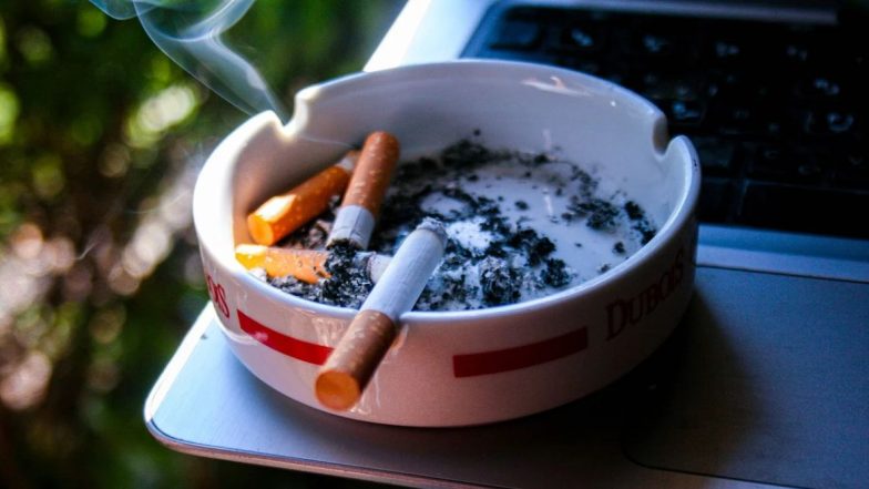 Guidelines For Quitting Tobacco: तंबाखू सोडण्याचा प्रयत्न करणाऱ्या लाखो लोकांना दिलासा; WHO ने जारी केली नवीन मार्गदर्शक तत्त्वे