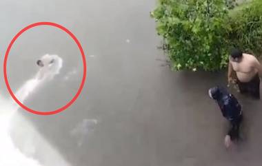 Khed  Man Swept Away In Sheldi Dam: चिपळूण येथील शेलडी धरणात 32 वर्षांचा तरुण वाहून गेला (Watch Video)