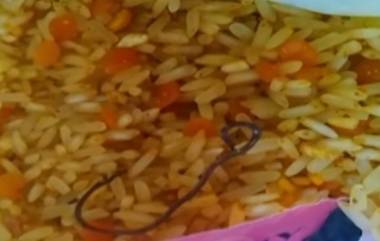 Snake Found In Food At Sangli: माता पोषण आहारात आढळला साप; सांगली जिल्ह्यातील पलूस येथील घटना