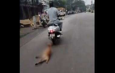 Stray Dog Tied Scooter and Dragged: स्कूटरला बांधून कुत्र्यास रस्त्यावरुन सहा किलोमीटर फरफटत नेले; उडुपी येथील घटनेचा व्हिडिओ व्हायरल