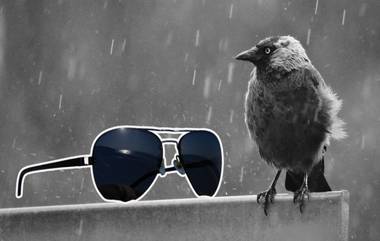 Sunglasses For Monsoon: पावसाळ्यात गॉगल, चष्मा खरेदी करताना कोणती काळजी घ्याल?