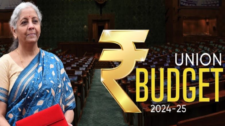 Revised Tax Slabs in New Tax Regime: बजेट 2024 मध्ये नव्या कर रचनेमध्ये बदल जाहीर; 3 लाखपर्यंतचं उत्पन्न करमुक्त