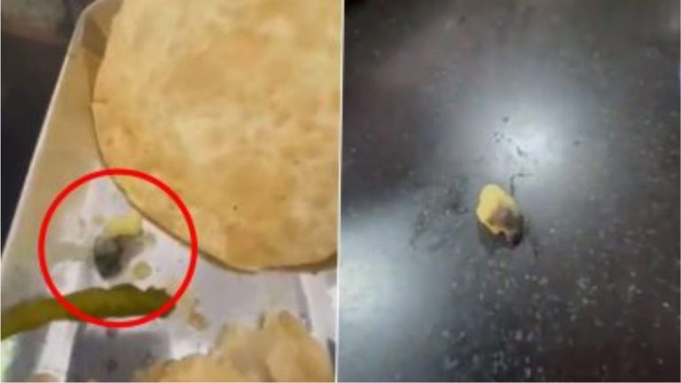 Dead Worm Found in Curry in Hyderabad: गड्डी अण्णाराम येथील राघवेंद्र हॉटेलमध्ये पूरी भाजीमध्ये आढळला मृत अळी(Watch Video)