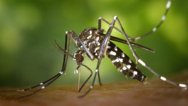Zika Virus: गर्भवती महिला आणि गर्भाला झिका व्हायरसचा जास्त धोका, जाणून घ्या अधिक माहिती
