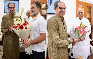 Uddhav Thackeray Meets Rahul Gandhi: दिल्ली दौऱ्याच्या दुसऱ्या दिवशी उद्धव ठाकरे यांनी राहुल गांधींची घेतली भेट; विधानसभा निवडणुकांच्या दृष्टीने भेटीला विशेष महत्त्व (See Pics)