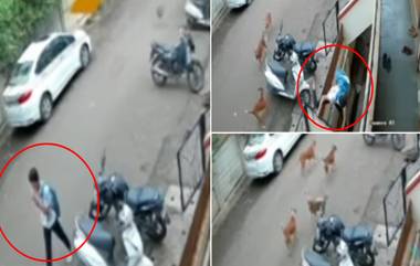 Ichalkaranji Dog Attack: भटक्या कुत्र्यांचा हल्ला, जीव वाचवण्यासाठी तरुणाची धडपड (Watch Video)