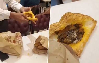 Fungus Found Inside Patties: वाराणसीतील प्रसिद्ध बेकरीतील पॅटीजमध्ये आढळली बुरशी, पहा व्हायरल व्हिडिओ