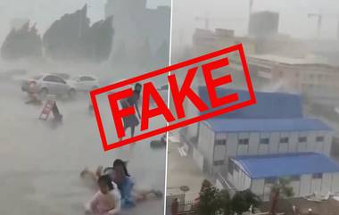 Strong Storm Video: पाकिस्तानच्या कराचीमध्ये जोरदार वादळाने लोक चक्क हवेत फेकले गेले? हाँगकाँगला धडकणाऱ्या Typhoon Mangkhut चा जुना व्हिडिओ खोट्या दाव्यासह व्हायरल (Watch)