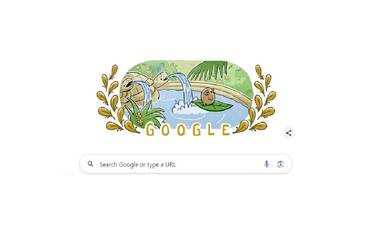 Surfing Olympics Google Doodle: सर्फिंग ऑलिम्पिक गूगल डूडल; पाण्यावर तरंगता पक्षी सांगतोय तरी काय?