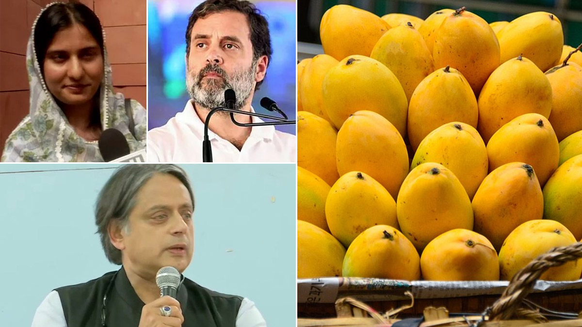 Pakistan Sent Mangoes to Indian MPs: पाकिस्तान उच्चायुक्तालयाने राहुल गांधी, शशी थरूर, इकरा हसन आणि इतर ४ खासदारांना पाठवली आंब्यांची टोपली