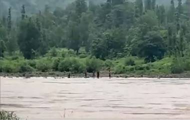 Nashik Flood: नाशिक मध्ये खिरपाडा गावात दैनंदिन जीवनावश्यक वस्तू आणण्यासाठी नागरिकांना पूलाच्या अभावी नदी पोहून जाण्याची वेळ (Watch Video)