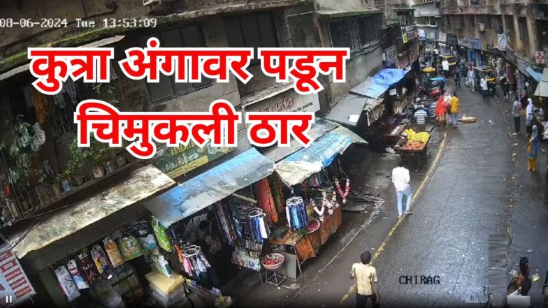 Tragic Accident in Mumbra: कुत्रा डोक्यात पडल्याने तीन वर्षीय चिमुकलीचा मृत्यू; मुंब्रा येथील घटना (Watch Video)